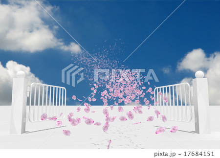 白い門と桜の花びら 白い門と桜の花びら 17684151