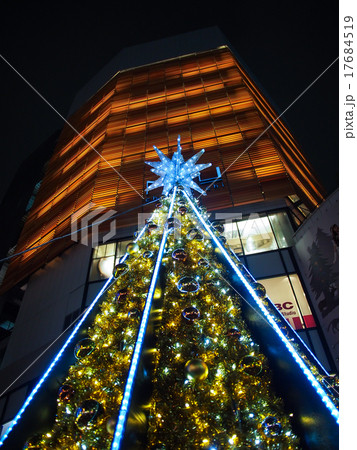 クリスマスツリー 17684519