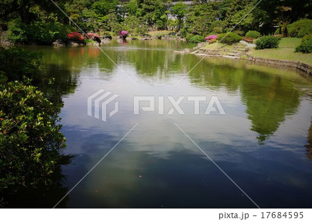 旧安田庭園内（サツキ） 17684595