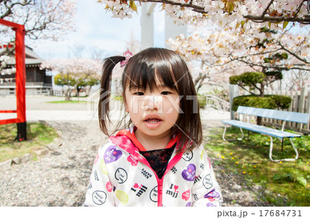 桜の花びらを鼻の上に乗せた女の子 桜の花びらを鼻の上に乗せた女の子 17684731