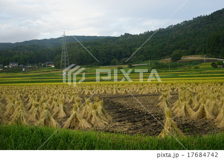 田園風景 田園風景 17684742