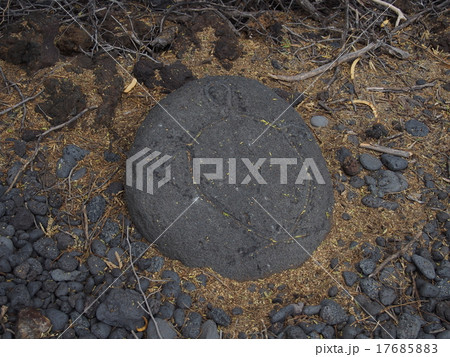 ワイコロアのペトログリフ ワイコロアのペトログリフ 17685883