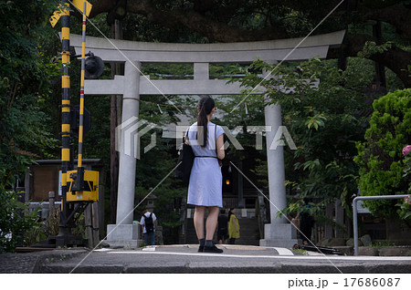 鎌倉、長谷の御霊神社 鎌倉、長谷の御霊神社 17686087