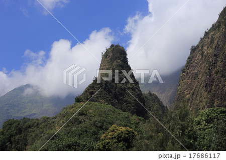 イアオニードル 17686117