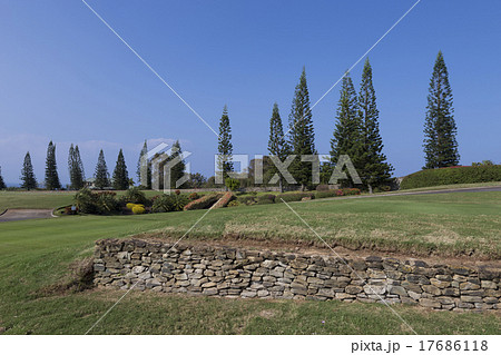 マウイ島のプランテーション 17686118