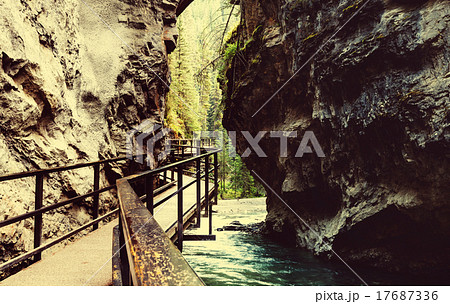 Canyon in Banff NP 17687336