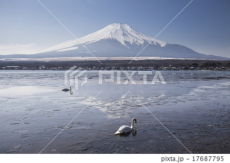 Mt. Fuji winter season shooting from Lake Yamanaka Mt. Fuji winter season shooting from Lake Yamanaka 17687795
