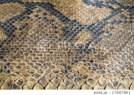 Snake skin texture and background 17687861