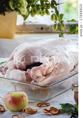 Raw goose 17688820