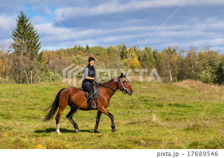 Elegant attractive woman riding a horse meadow Elegant attractive woman riding a horse meadow 17689546