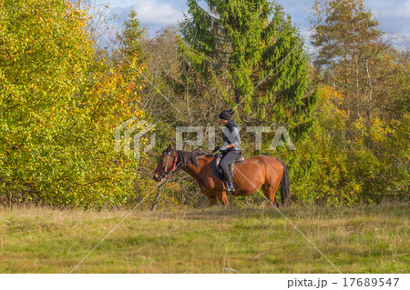Elegant attractive woman riding a horse meadow 17689547