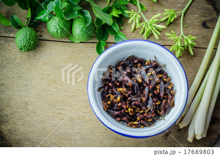 subterranean ants in iron bowl 17689803