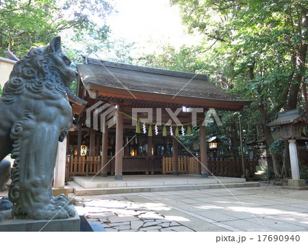 流山市駒木の諏訪神社（社殿と狛犬） 17690940