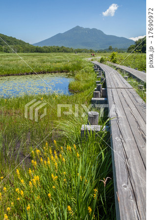 尾瀬ヶ原の池塘と燧ケ岳 17690972