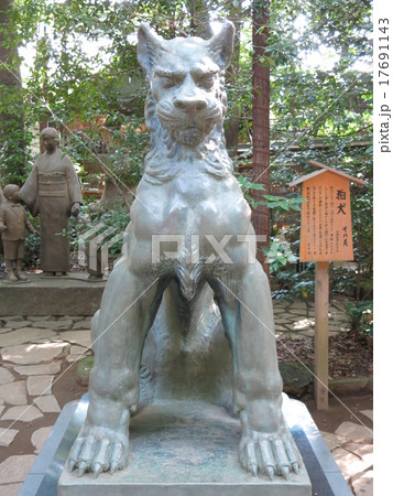流山市駒木の諏訪神社にある狛犬（吽形像） 17691143