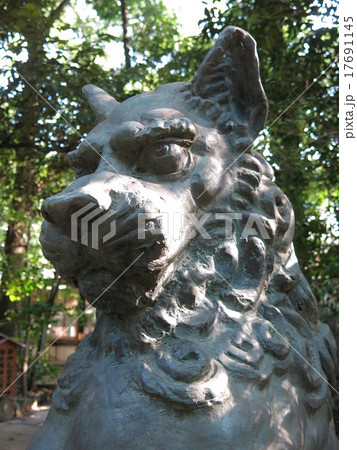 流山市駒木の諏訪神社にある狛犬(吽形像) 流山市駒木の諏訪神社にある狛犬(吽形像) 17691145
