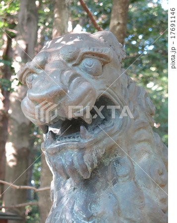 流山市駒木の諏訪神社にある狛犬(阿形像) 流山市駒木の諏訪神社にある狛犬(阿形像) 17691146