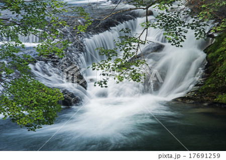 渓流 流れ カエデ 緑 南会津町 湯ノ花温泉 福島県 自然風景 観光地 秋の写真素材