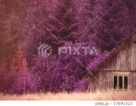 Old house in Ukraine Carpathian Old house in Ukraine Carpathian 17691323