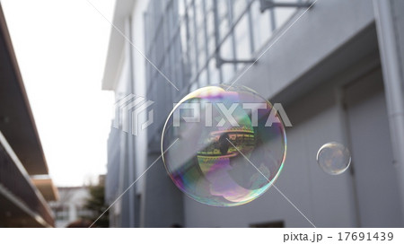 しゃぼん玉 しゃぼん玉 17691439