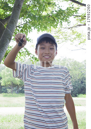 カブトムシを採る小学生 カブトムシを採る小学生 17692260