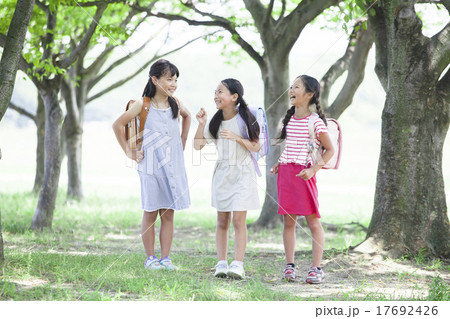 登下校中の小学生 17692426