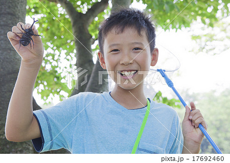 カブトムシを採る小学生 17692460