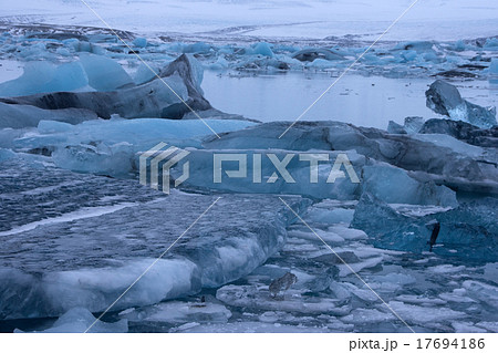 Joekulsarlon, Iceland 17694186