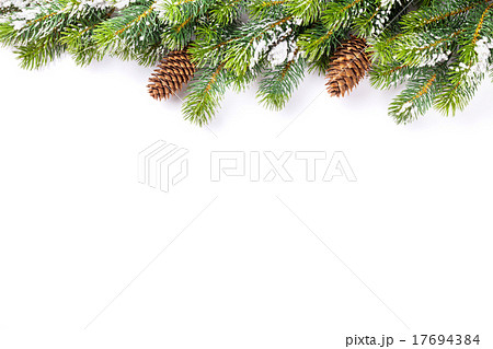 Christmas tree branch with snow and pine cones Christmas tree branch with snow and pine cones 17694384
