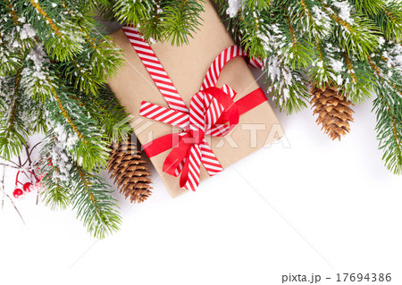 Christmas tree branch with snow and gift box 17694386
