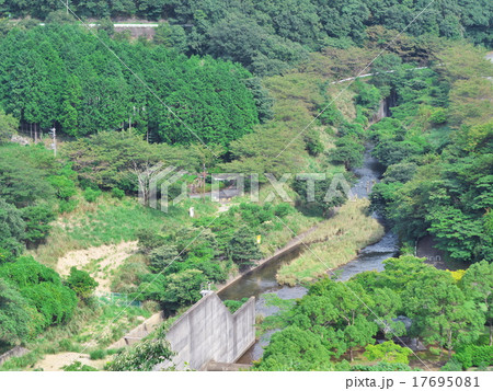 木々の彩り 17695081