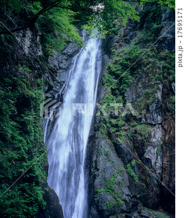 静岡県・安倍の大滝 17695171