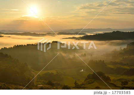 星峠 星峠 17703585