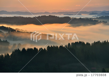 星峠 星峠 17703608