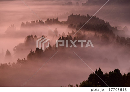 星峠 星峠 17703618