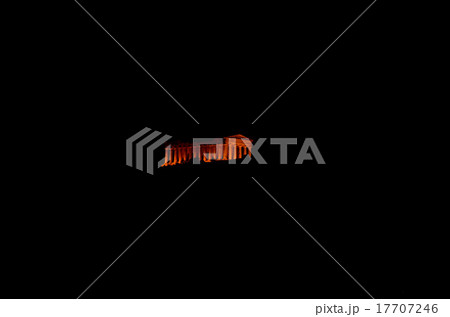 アグリジェントの丘に建つコンコルディア神殿 17707246