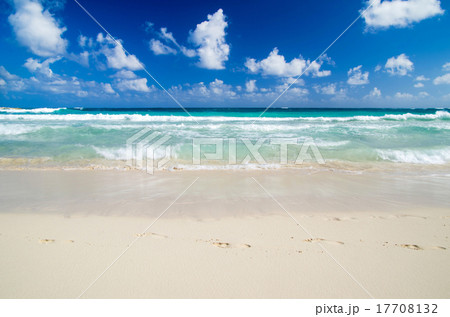 sea sea 17708132