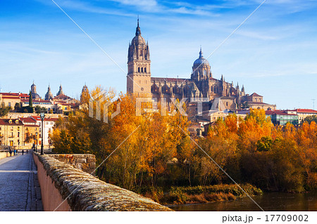 Autumn view of Salamanca 17709002
