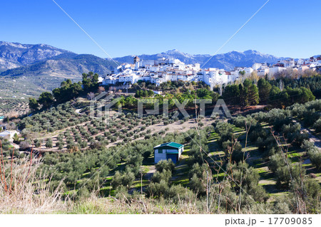 Quesada town with olives filed. Andalusia, Spain 17709085