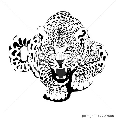 Leopard in black interpretation Leopard in black interpretation 17709806