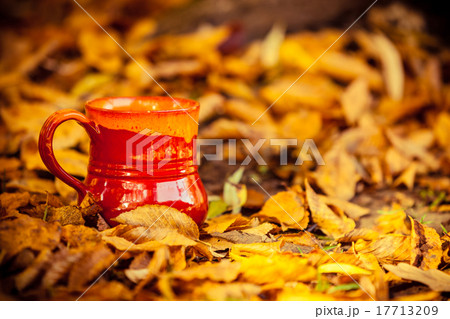 Red mug with autumn leaves 17713209