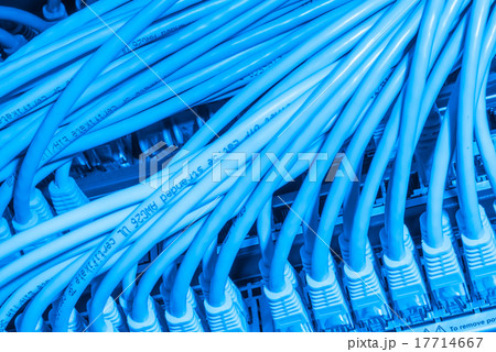 network cables connected to switch network cables connected to switch 17714667