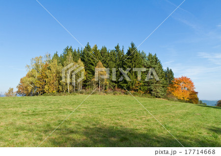 autumn landscape 17714668