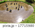 高山の車田 17715980