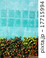 花と壁面 17715994