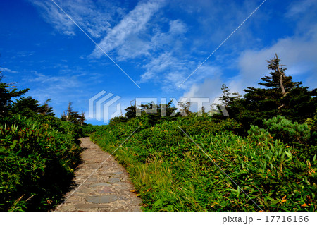 八幡平・心地よい風に吹かれながら登山道を行く（１） 17716166