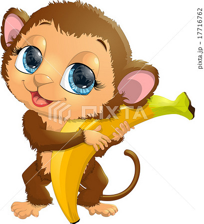 monkey monkey 17716762