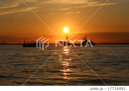 夕焼け 17716891