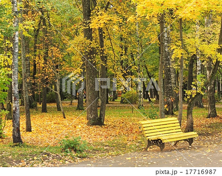 Yellow bench in the autumn Park. Yellow bench in the autumn Park. 17716987