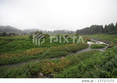 富山県　霧雨に煙る白岩川 17717173